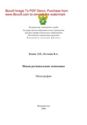 New regional economy. Monograph