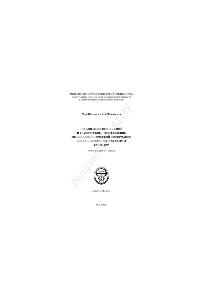 Organization of calculations and graphical representation of medical and biological information using the EXCEL 2007 program