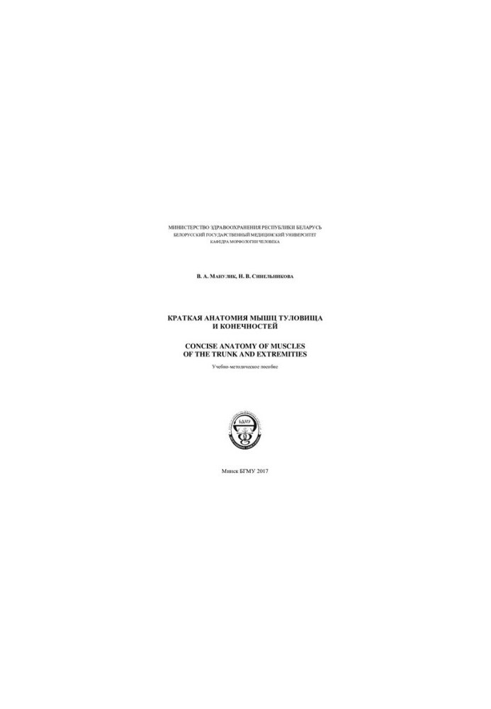 Краткая анатомия мышц туловища и конечностей