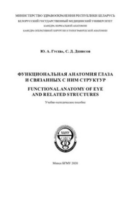 Функціональна анатомія ока та пов'язаних з ним структур