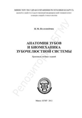 Анатомия зубов и биомеханика зубочелюстной системы
