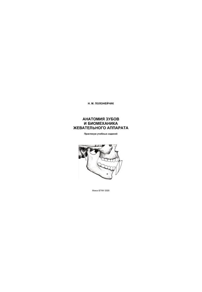 Анатомия зубов и биомеханика жевательного аппарата