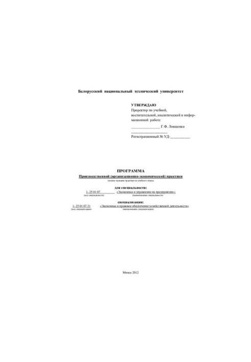 Program of production (organizational and economic) practice