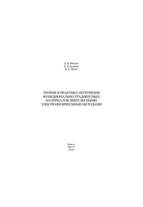 Theory and practice of obtaining functional-gradient materials by pulsed electrophysical methods