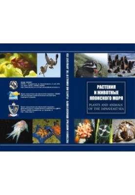 Plants and animals of the Sea of Japan. A brief atlas-determinator.