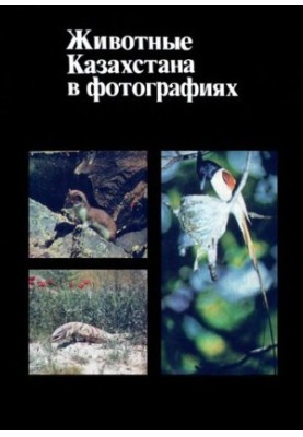Животные Казахстана в фотографиях.