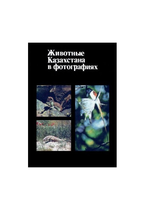 Животные Казахстана в фотографиях.