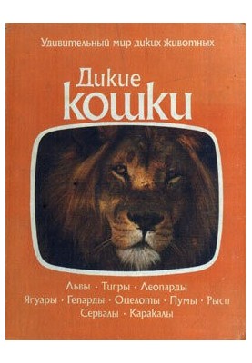 Wild Cats