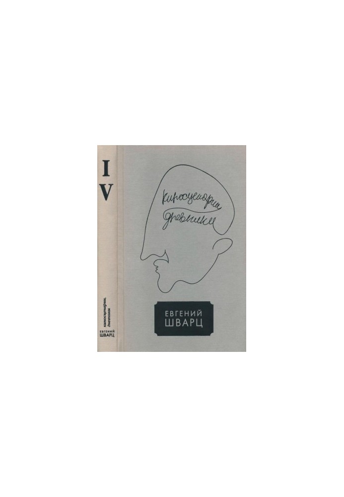 Collected Works in Five Volumes. Volume 4 : Film Screenings. Diaries