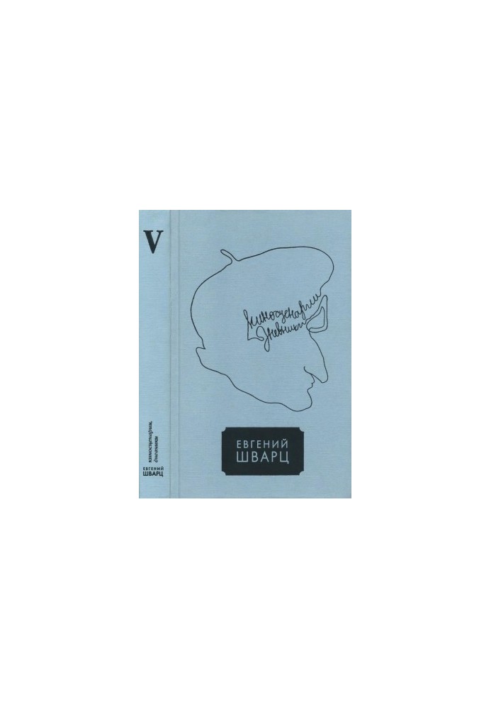 Collected Works in Five Volumes. Volume 5 : Film Screenings. Diaries