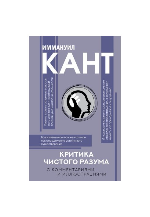 Критика чистого разума. С комментариями и иллюстрациями