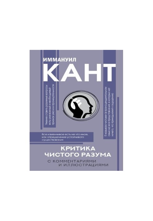Критика чистого разума. С комментариями и иллюстрациями