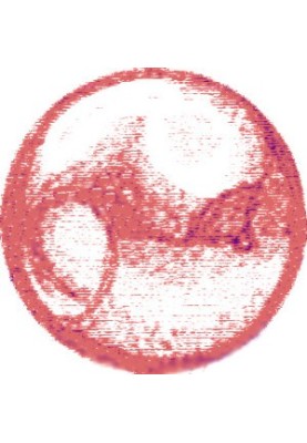 Alov Kim - 13 Heracles