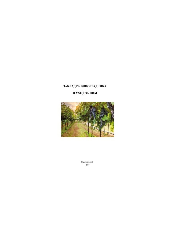 Laying the vineyard and care for it: Methodical instructions for carrying out course work