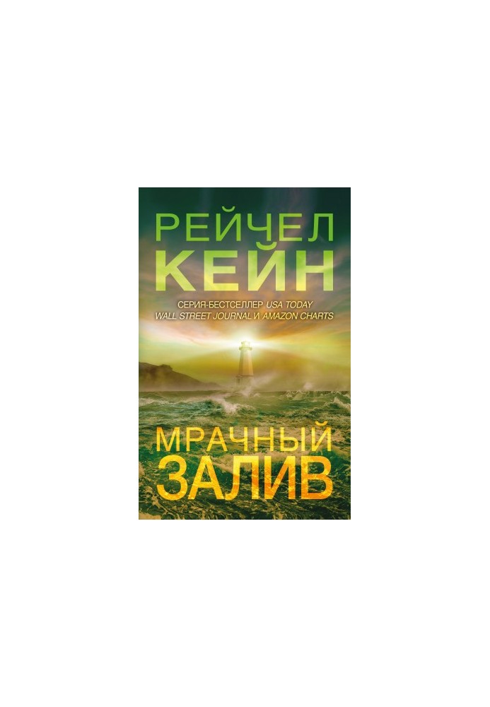 Мрачный залив [litres]