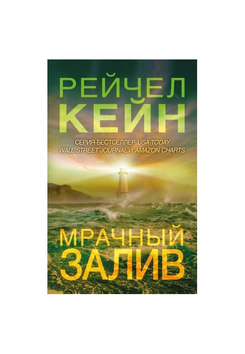 Мрачный залив [litres]