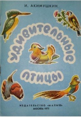 Amazing birds : Read and color