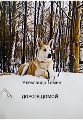Дорога додому