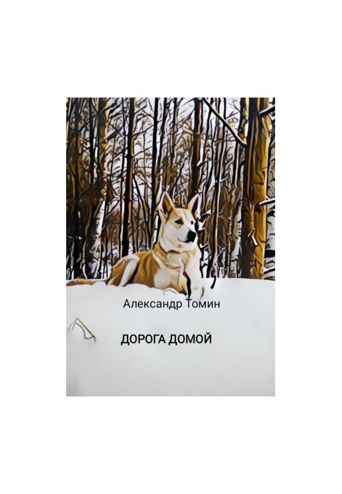 Дорога додому