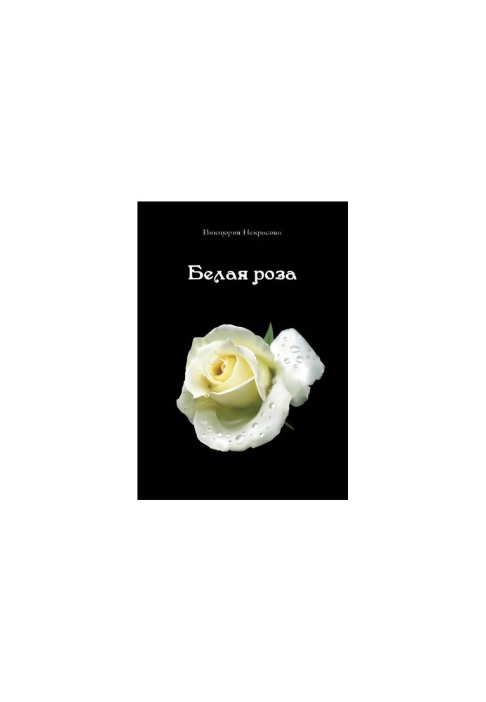 Белая роза