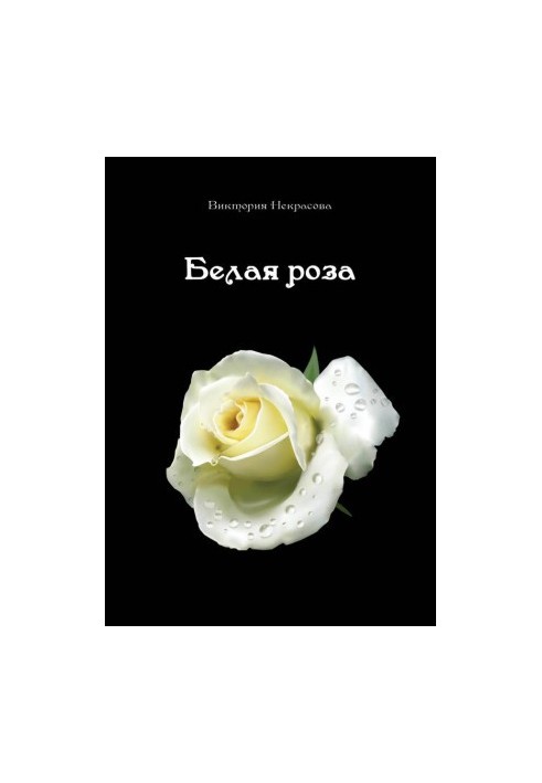 Белая роза