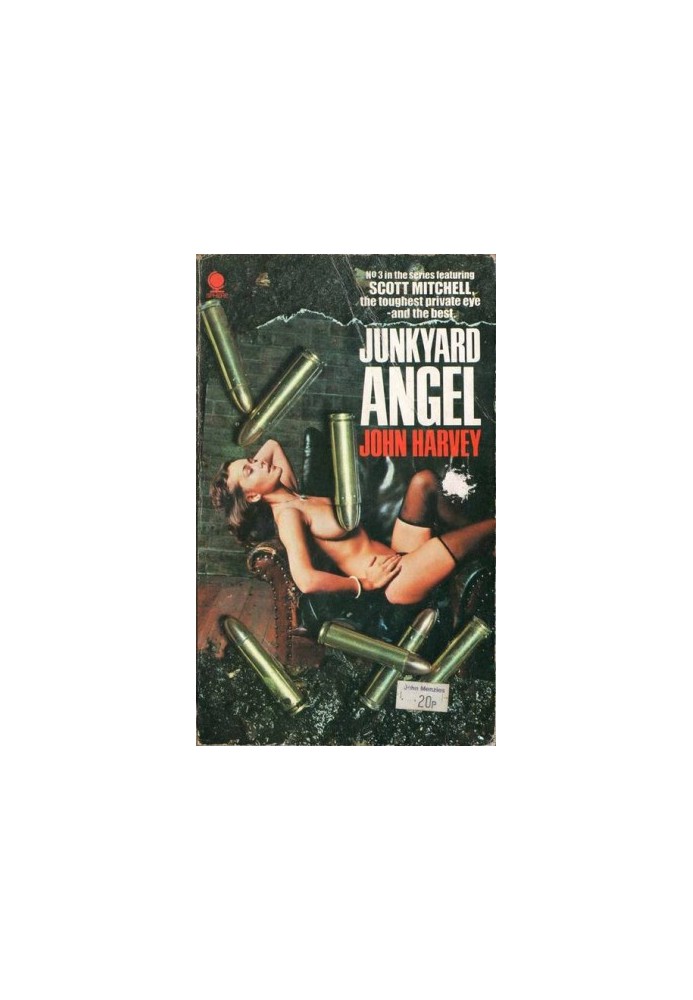 The Fallen Angel