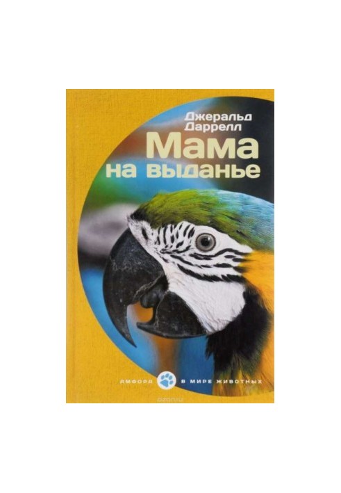 Мама на выданье
