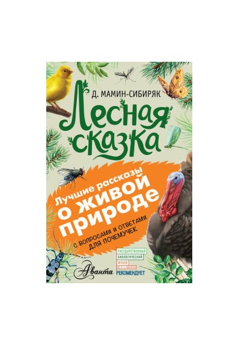 Лесная сказка. С вопросами и ответами для почемучек