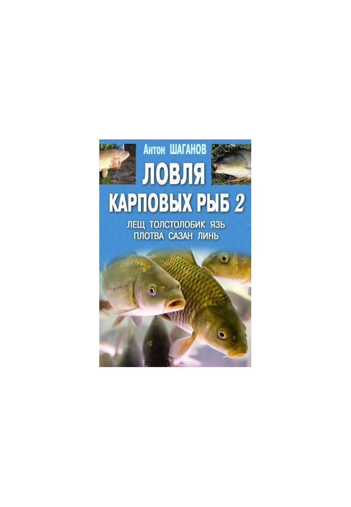 Ловля карповых рыб – 2