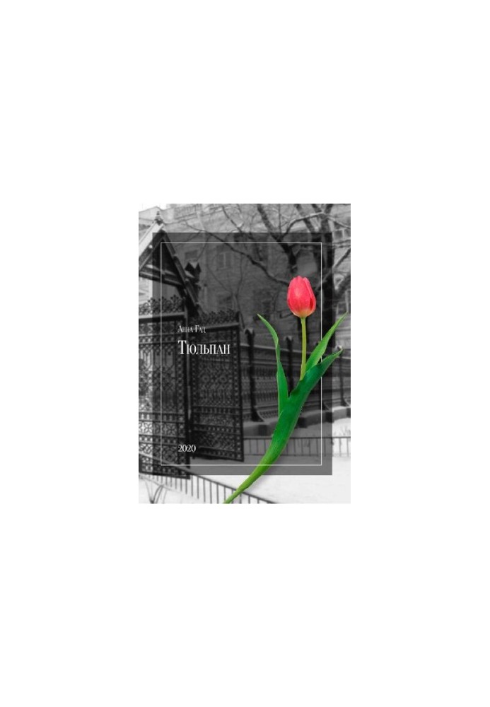Тюльпан