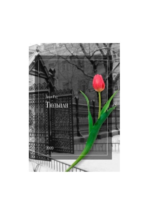 Тюльпан