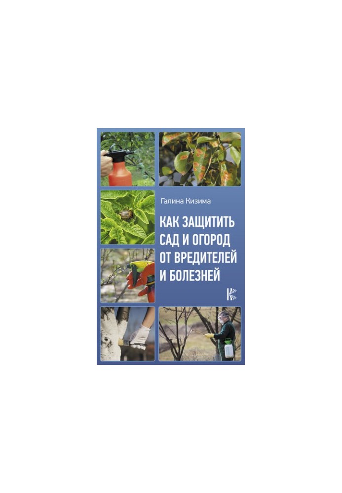 How to protect the garden and garden from pests and diseases