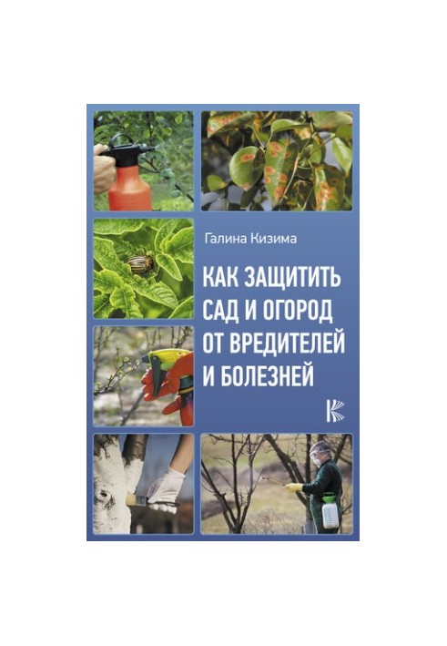 How to protect the garden and garden from pests and diseases