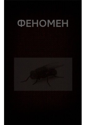 ФЕНОМЕН