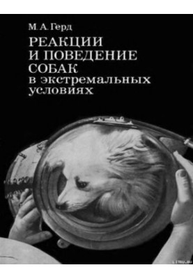 Reactions and behavior of dogs in extreme conditions.