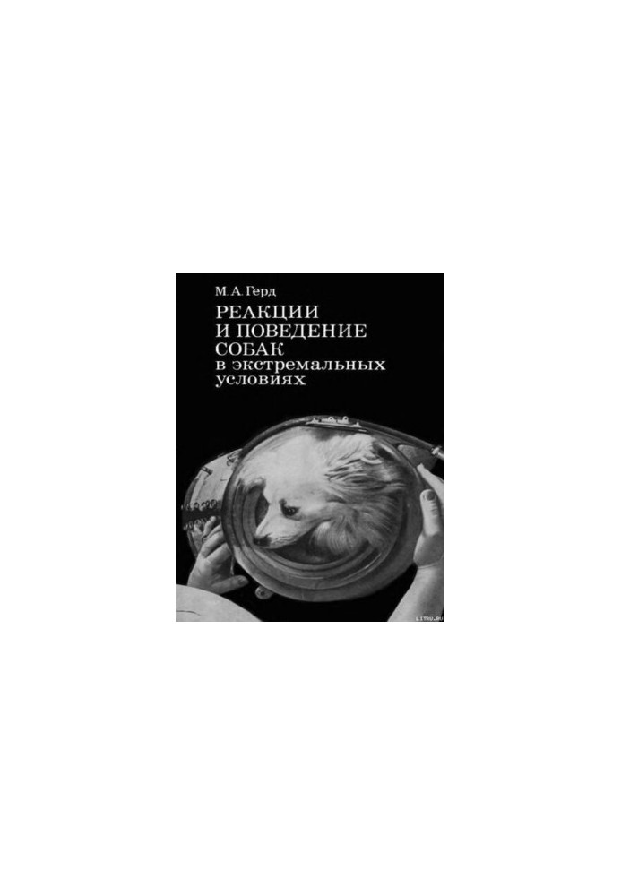 Reactions and behavior of dogs in extreme conditions.