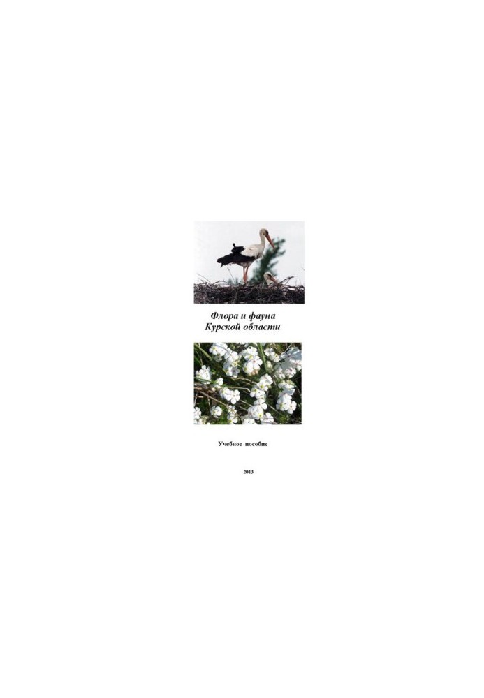 Flora and fauna of the Kursk region: a training manual