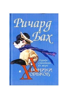 Хорьки-спасатели на море