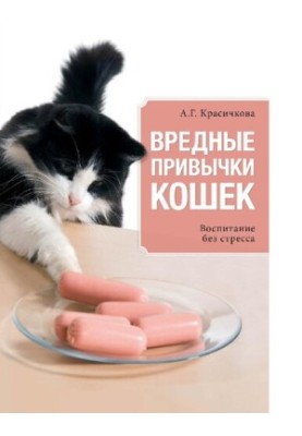 Шкідливі звички котів: виховання без стресу