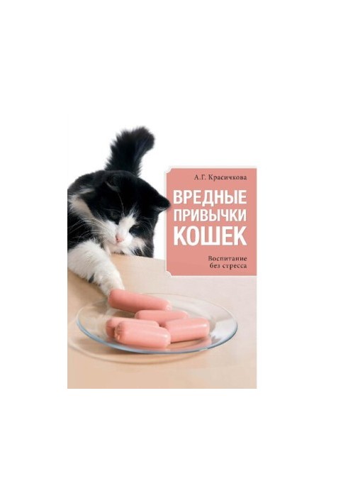 Шкідливі звички котів: виховання без стресу