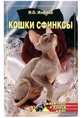 Коти – сфінкси