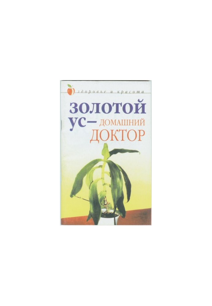 Золотий вус – домашній лікар