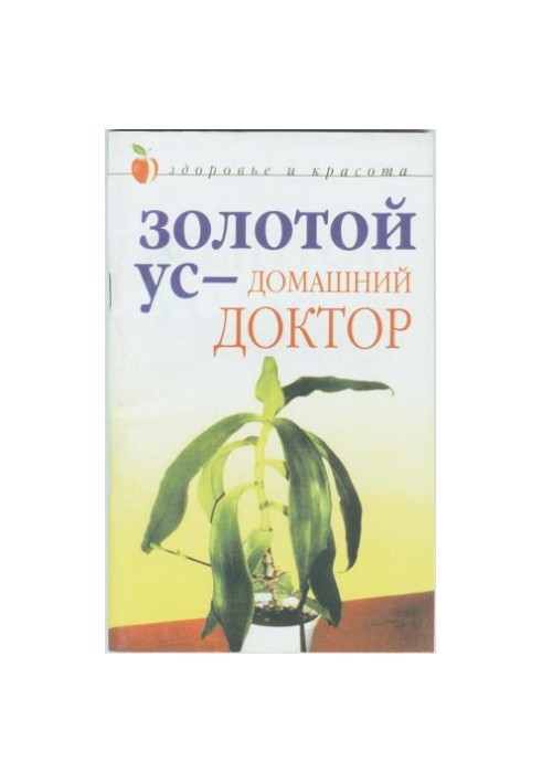 Золотий вус – домашній лікар