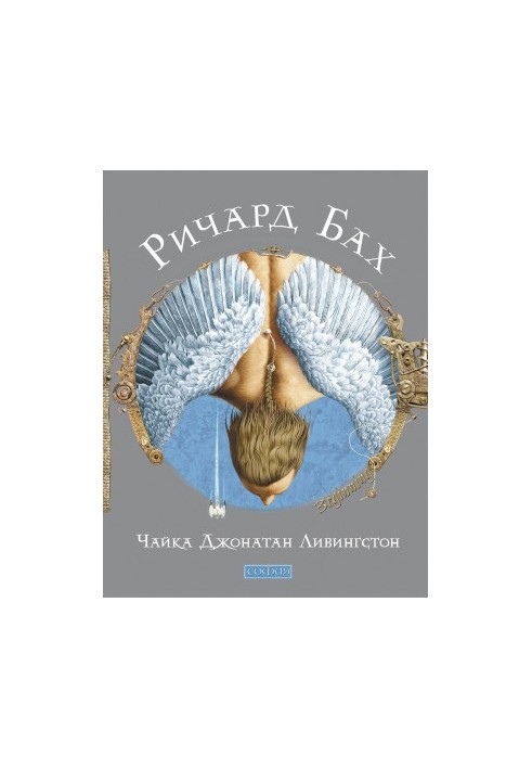Чайка на ім'я Джонатан Лівінгстон