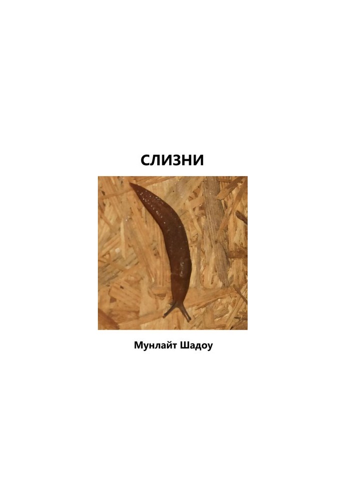 Слимаки