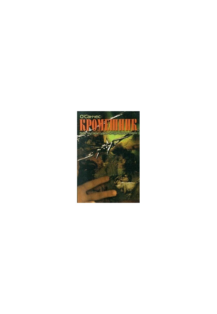 Kromeshnik. Book 2