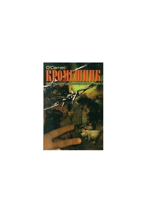 Kromeshnik. Book 2