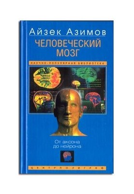 The human brain, from the axon to the neuron.