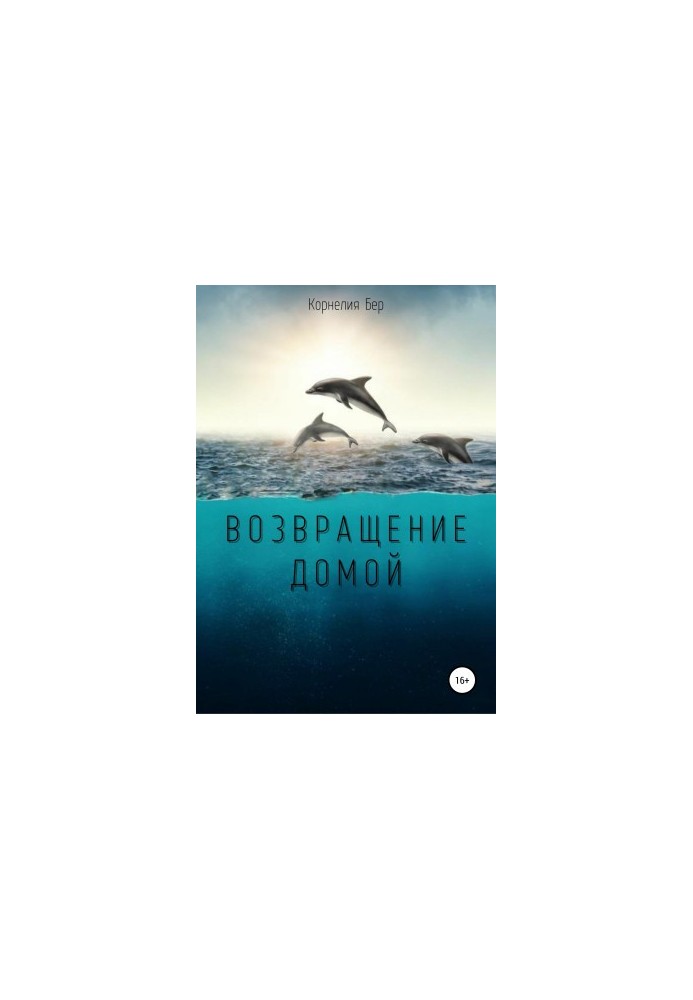 Возвращение домой