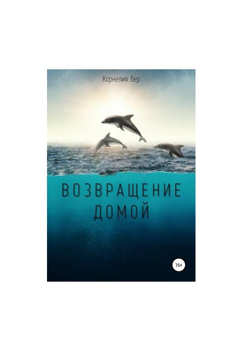 Возвращение домой